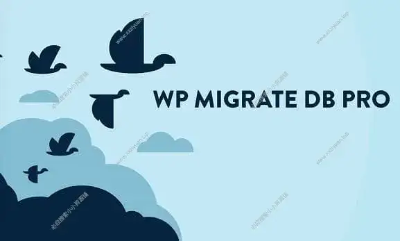 WP Migrate Pro 2.7.4 一键式迁移备份WordPress插件已激活下载
