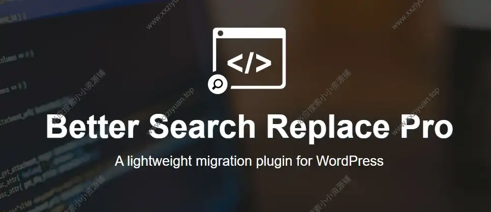Better Search Replace Pro 1.4.10专业版|更好的网站数据搜索替换WordPress插件