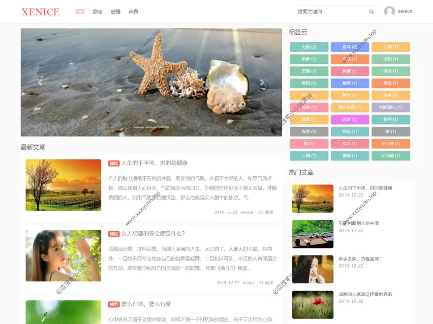 MissNice v3.3.3 – 简约强大的个人博客WordPress主题下载