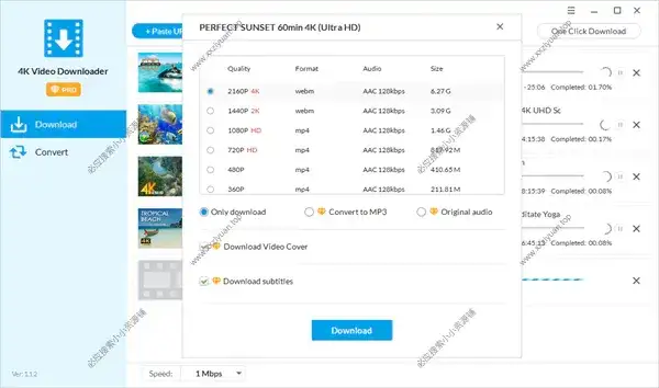 4K Downloader v5.18.7 支持众多视频平台下载工具开心版