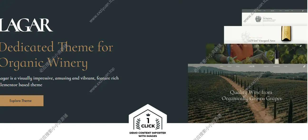 Lagar v28 已激活-酒庄葡萄酒电子商务WordPress主题