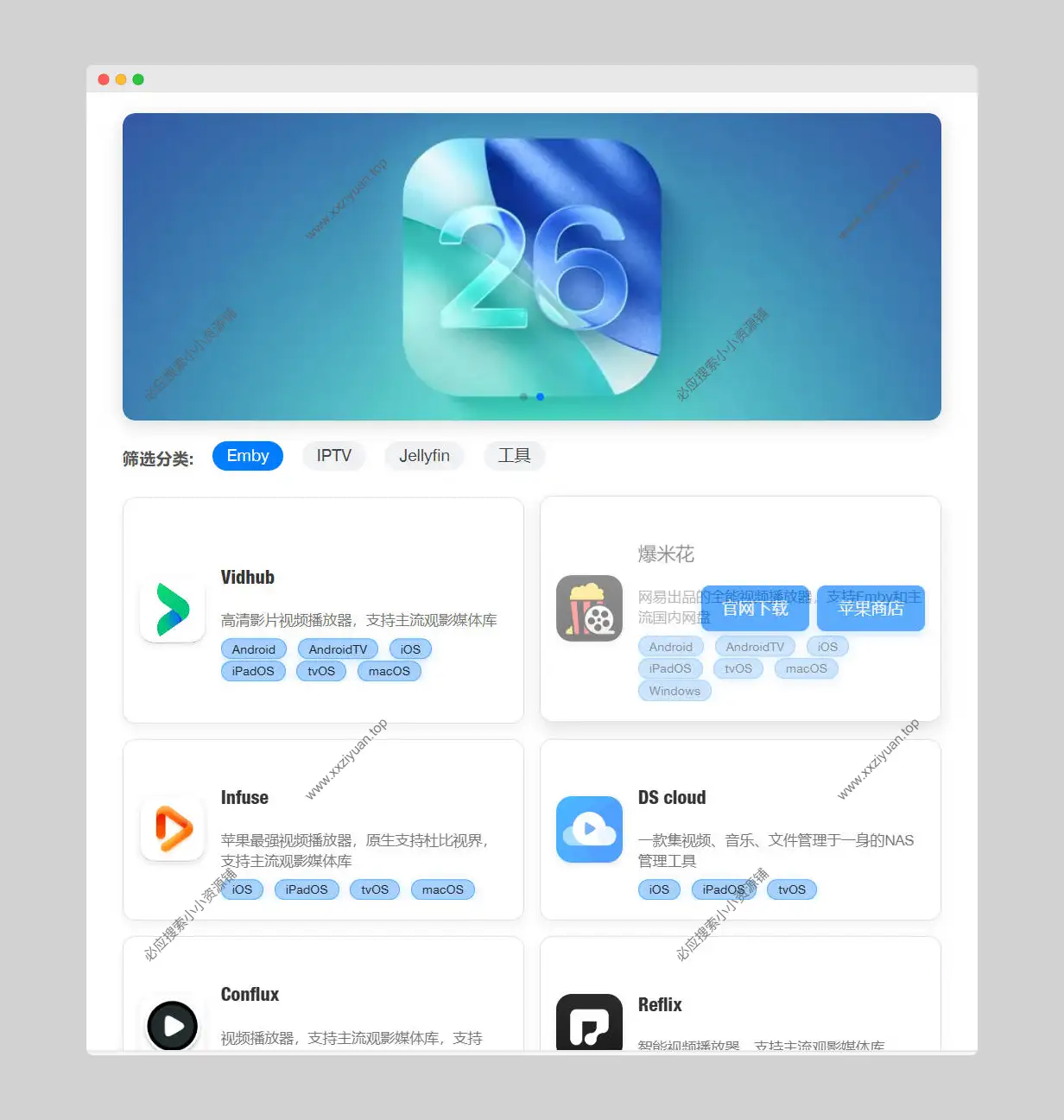 APP应用下载商店页面创建WordPress插件