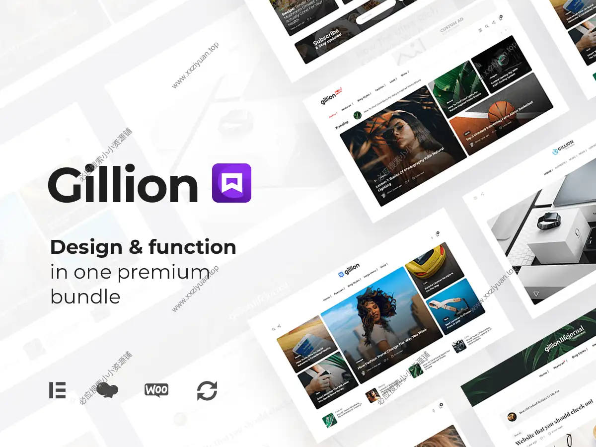 Gillion 4.13已激活版 | 多概念博客杂志和商店 WordPress AMP 主题