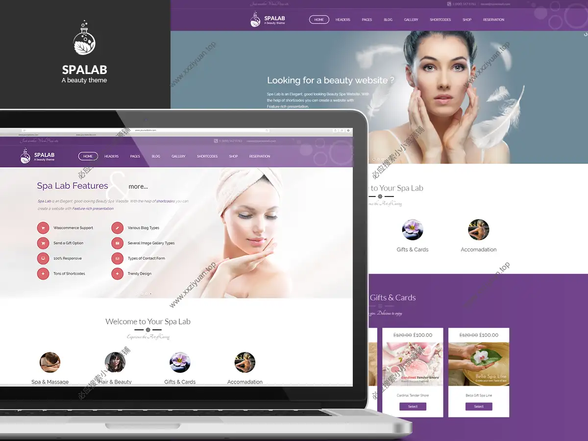 SpaLab v6.7 – 响应式美容沙龙及按摩院 WordPress 主题