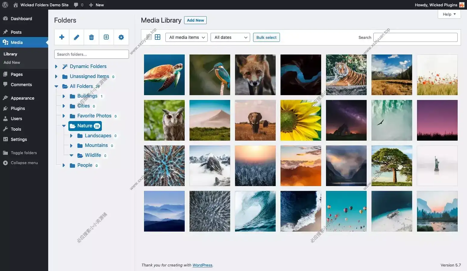 WordPress 媒体库文件夹管理插件 Wicked Folders Pro 4.1.1已激活 1 WordPress 媒体库文件夹管理插件 Wicked Folders Pro 4.1.1已激活 1