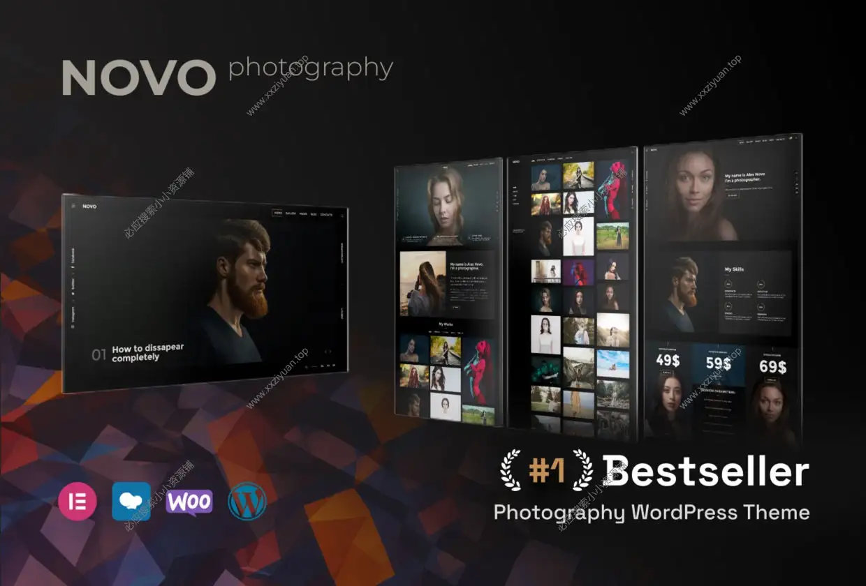 WordPress专业摄影摄像主题 Novo v4.3.2 已激活