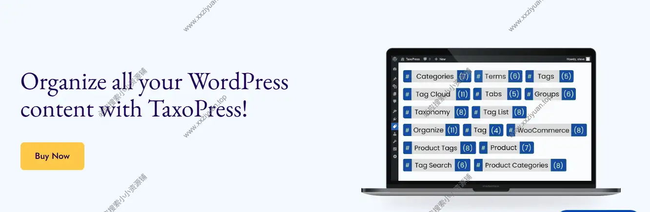 TaxoPress Pro v3.41.0 WordPress 网站标签分类术语管理及自动链接插件