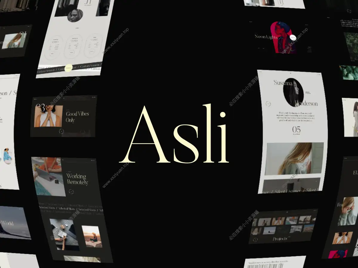 Asli – AJAX Portfolio Elementor WordPress 主题 v3.2.6 已激活