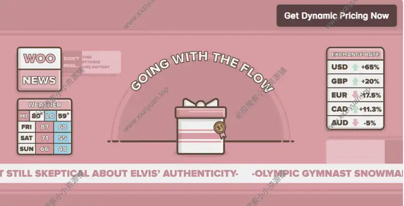 Dynamic Pricing v3.4.10 - WooCommerce 高级动态定价插件 1