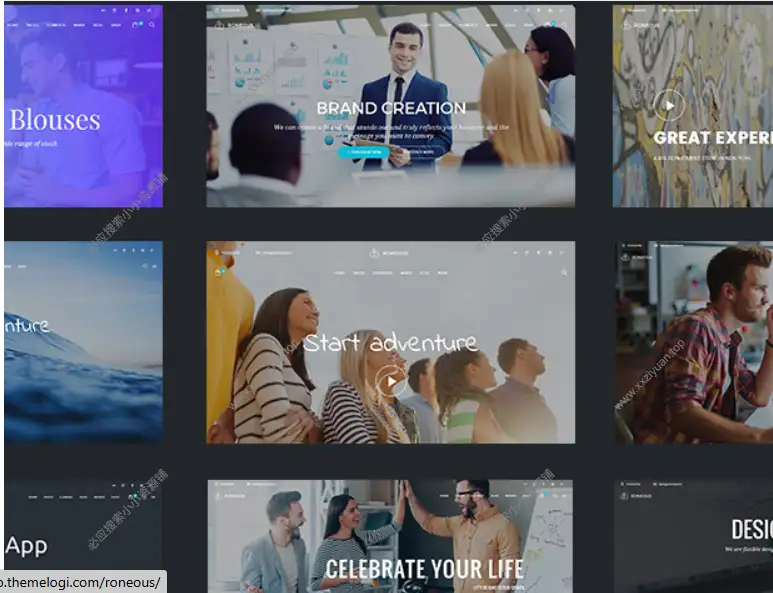 WordPress创意与多功能主题 – Roneous v2.1.7 英文版