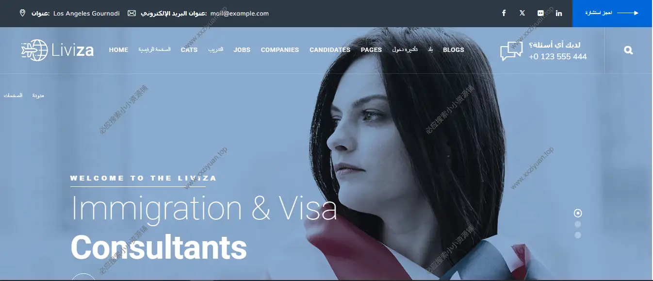 WordPress 移民咨询主题 – Liviza v3.9