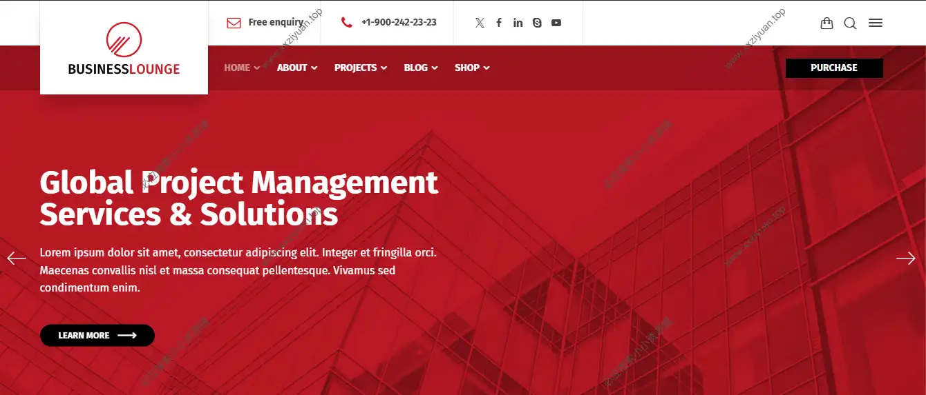 WordPress 多功能咨询与金融主题 – Business Lounge v2.3 英文版已激活